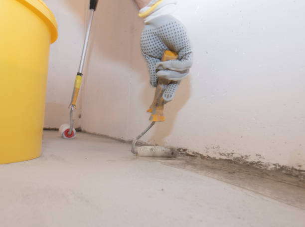 Best Commercial Pest Control  in Minoa, NY